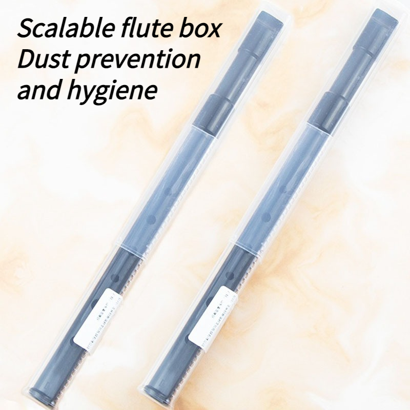 6 Hole Resin Tin Whistle D Key - огляд і ціна Penny Whistle D