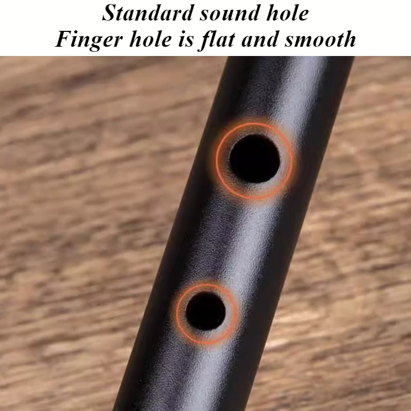 D Key Tin Whistle Beginner Chi - огляд і ціна Penny Whistle D
