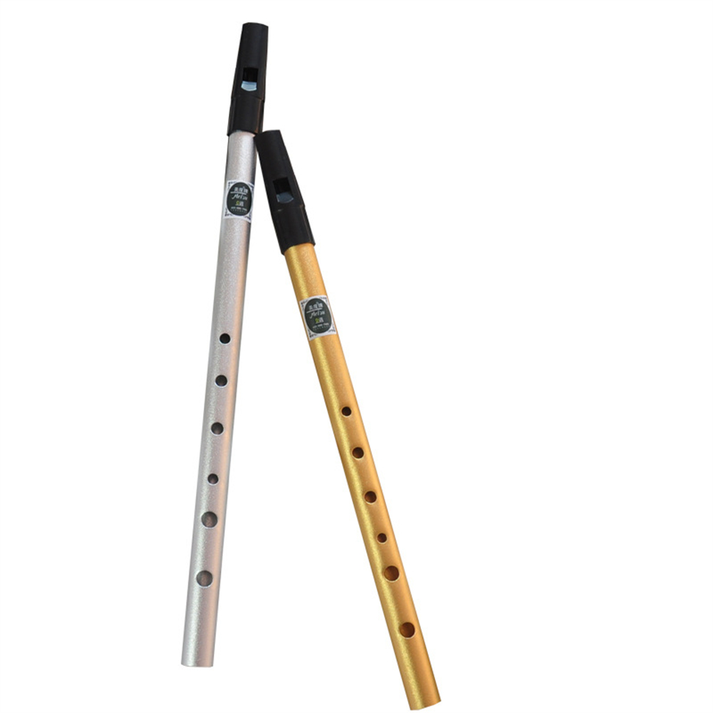 Irish Whistle Flute C/D Key Ir - огляд і ціна Penny Whistle D
