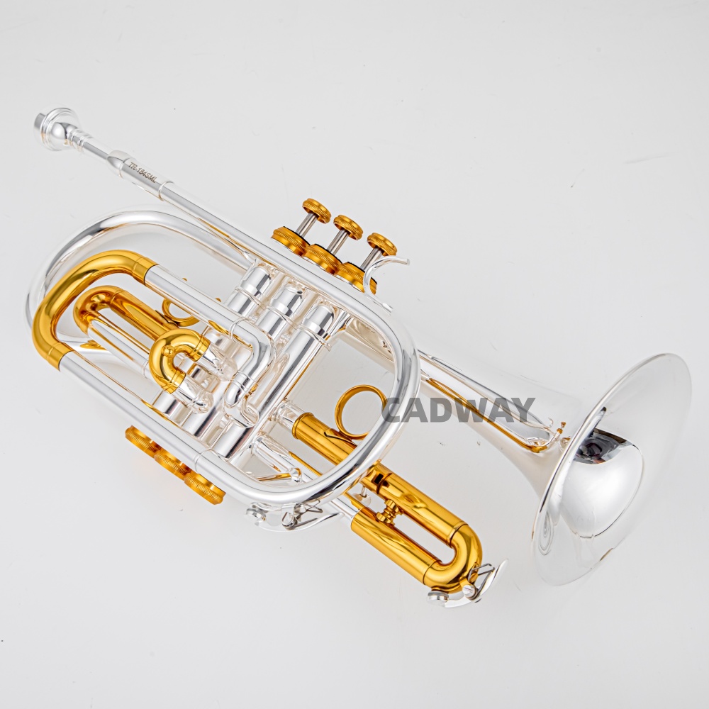 2026 High Grade BACH Silver Go - огляд і ціна Musical Instrument Cornet