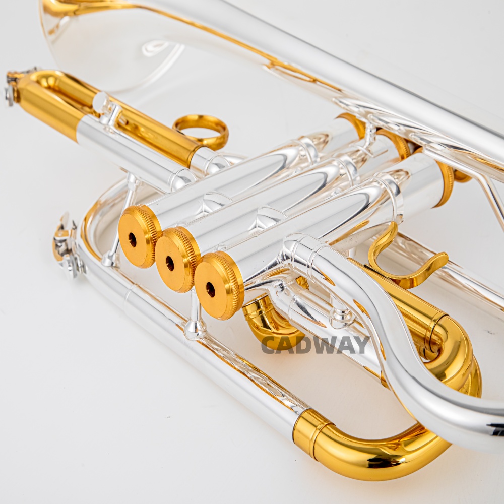 2026 High Grade BACH Silver Go - огляд і ціна Musical Instrument Cornet