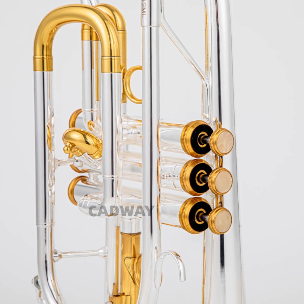 2026 High Grade BACH Silver Go - огляд і ціна Musical Instrument Cornet