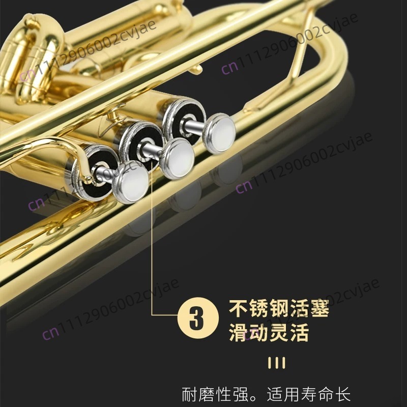 Suitable for Jinbao trumpet mu - огляд і ціна Musical Instrument Drum