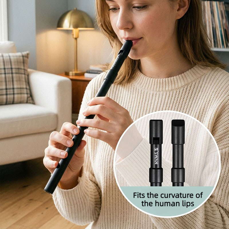 C/D Key Tin Whistle Beginner P - огляд і ціна Penny Whistle D