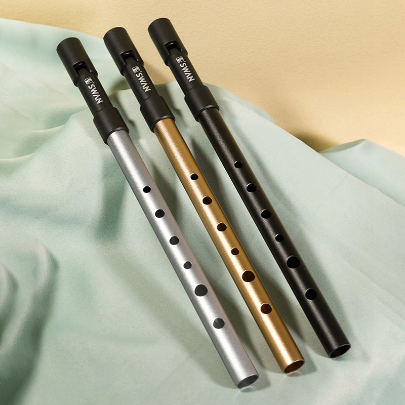 C/D Key Tin Whistle Beginner P - огляд і ціна Penny Whistle D