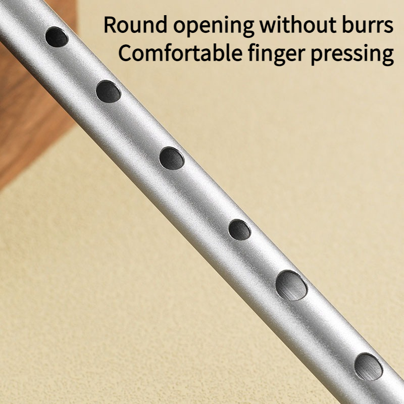 C/D Key Tin Whistle Beginner P - огляд і ціна Penny Whistle D