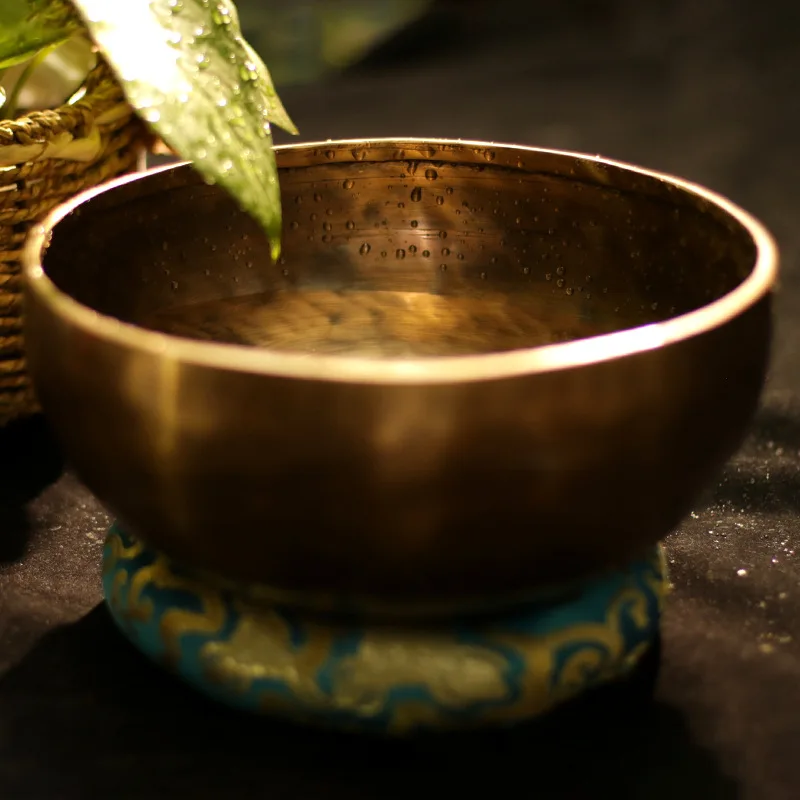 Therapeutic Tibetan Bowl Tibet - огляд і ціна Musical Instrument Kit